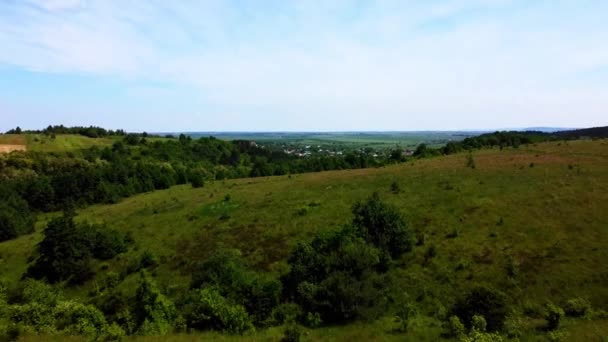 空中无人驾驶飞机俯瞰农村农业景观 — 图库视频影像