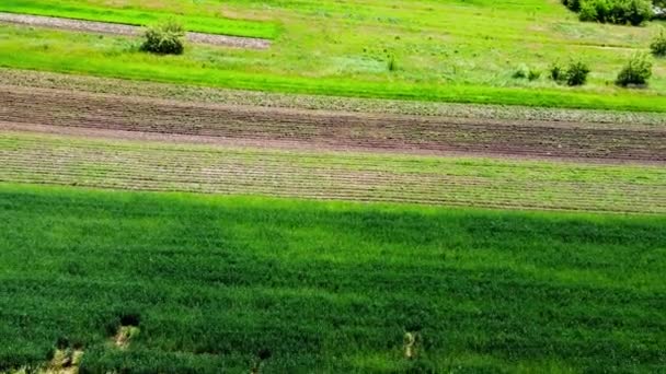 Vista Aérea Drone Voo Sobre Paisagem Agrícola Rural — Vídeo de Stock