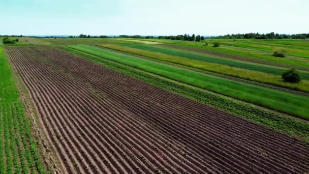 Vista Aérea Del Avión Tripulado Vuelo Sobre Paisaje Agrícola Rural — Vídeos de Stock