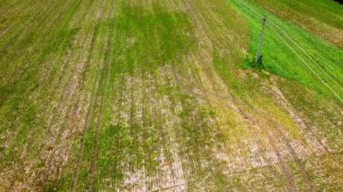 Kırsal tarım arazisinin üzerinde uçan bir dron görüntüsü.