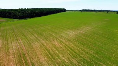 Kırsal tarım arazisinin üzerinde uçan bir dron görüntüsü.