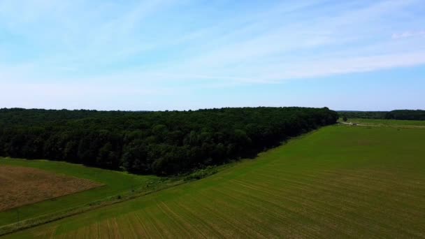 Vista Aérea Del Avión Tripulado Vuelo Sobre Paisaje Agrícola Rural — Vídeo de stock