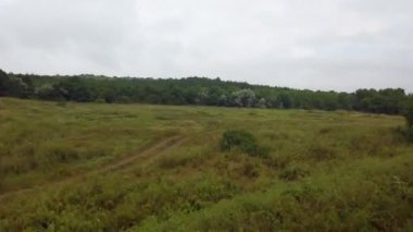 Kırsal kesimde. Orman ve tarlalar. Hareket halinde çekim.