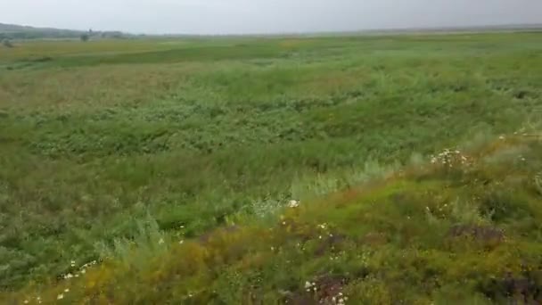 Paisaje Rural Campos Agrícolas Ucrania Disparos Movimiento — Vídeo de stock