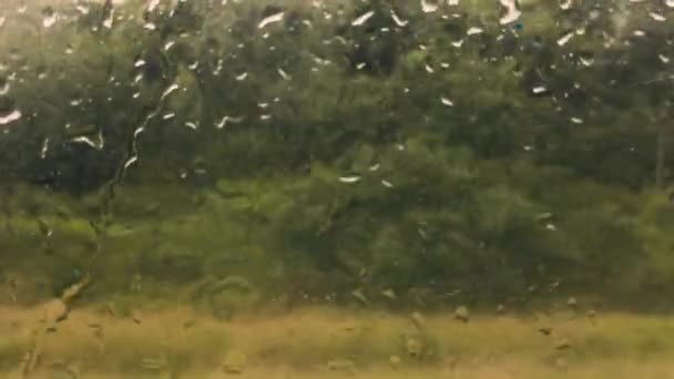 Kırsal Bir Araziyi Demiryolu Vagonunun Islak Camından Vurmak Pencerenin Dışına — Stok video