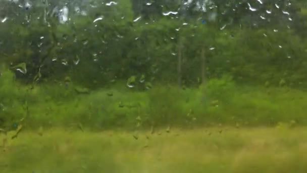 Fotografar Uma Paisagem Rural Através Vidro Molhado Uma Carruagem Ferroviária — Vídeo de Stock