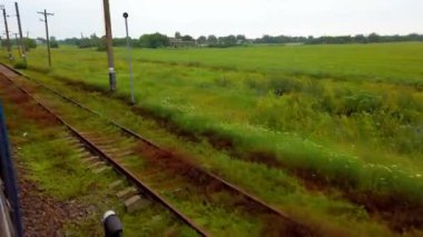 Kırsal alan. Tarım alanları. Ukrayna. Tren vagonundan ateş ediyorlar. Korkuluklar ve uykucular. Güç hatları.