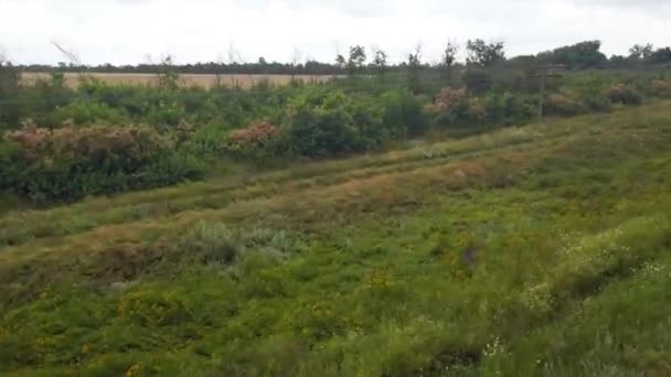 Linhas Eléctricas Paisagem Rural Campos Agrícolas Ucrânia — Vídeo de Stock