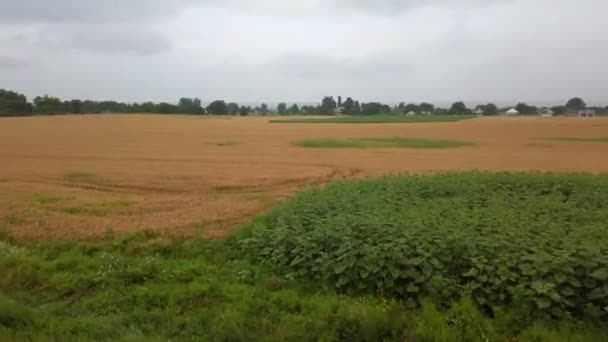 Vidéki Táj Mezőgazdasági Földek Ukrajnában Lövöldözés Folyamatban — Stock videók