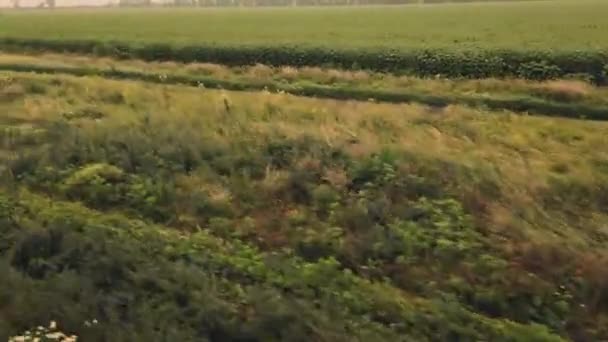 Kırsal Alan Tarım Alanları Ukrayna Hareket Halinde Çekim — Stok video