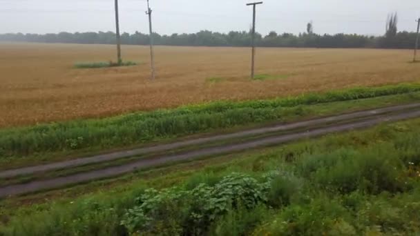 Linhas Eléctricas Paisagem Rural Campos Agrícolas Ucrânia — Vídeo de Stock