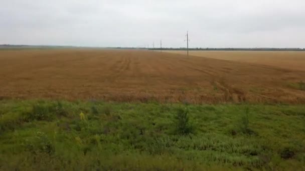 Paisagem Rural Campos Agrícolas Ucrânia Tiro Movimento — Vídeo de Stock