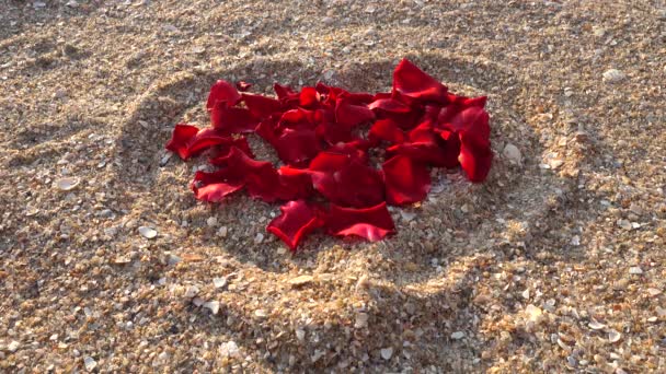 Rosenblätter Der Zeichnung Eines Herzens Sand — Stockvideo