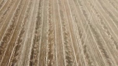 Kırsal tarım arazisinin üzerinde uçan bir dron görüntüsü.