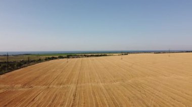 Kırsal tarım arazisinin üzerinde uçan bir dron görüntüsü.