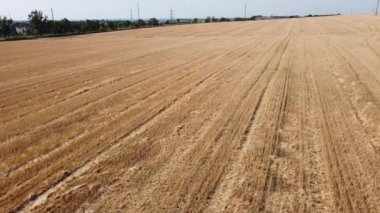 Kırsal tarım arazisinin üzerinde uçan bir dron görüntüsü.