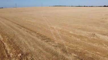 Kırsal tarım arazisinin üzerinde uçan bir dron görüntüsü.