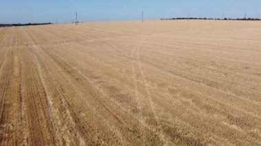 Kırsal tarım arazisinin üzerinde uçan bir dron görüntüsü.