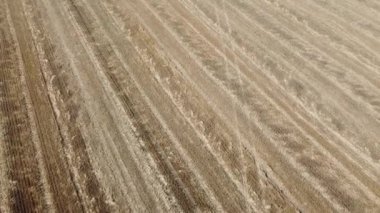 Kırsal tarım arazisinin üzerinde uçan bir dron görüntüsü.