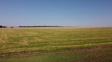 Kırsal tarım arazisinin üzerinde uçan bir dron görüntüsü.