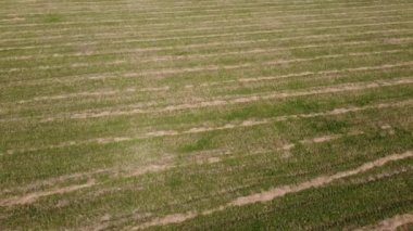 Kırsal tarım arazisinin üzerinde uçan bir dron görüntüsü.