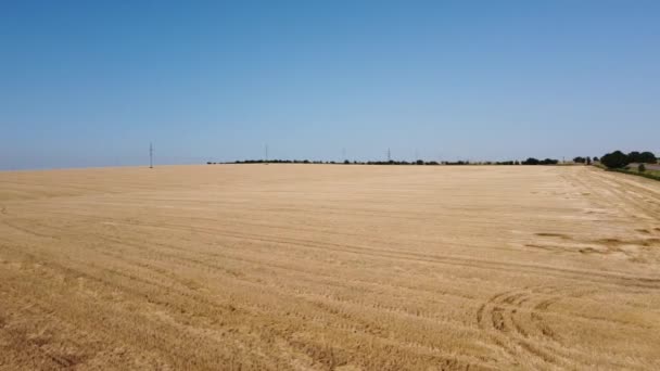 Drohnenaufnahme Eines Fluges Über Die Ländliche Agrarlandschaft — Stockvideo