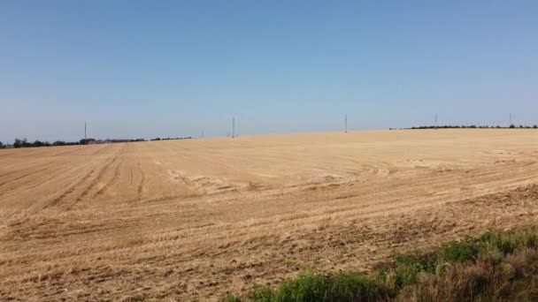 Vista Aérea Del Avión Tripulado Vuelo Sobre Paisaje Agrícola Rural — Vídeo de stock