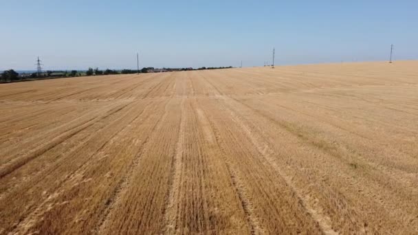 Vista Aérea Del Avión Tripulado Vuelo Sobre Paisaje Agrícola Rural — Vídeos de Stock