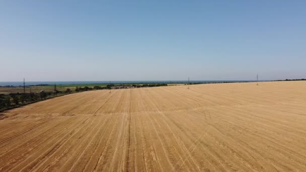 Vista Aérea Drone Voo Sobre Paisagem Agrícola Rural — Vídeo de Stock