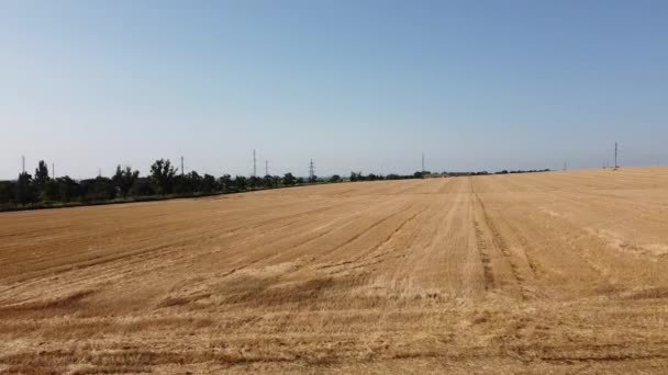 Veduta Aerea Drone Volo Sopra Paesaggio Agricolo Rurale — Video Stock