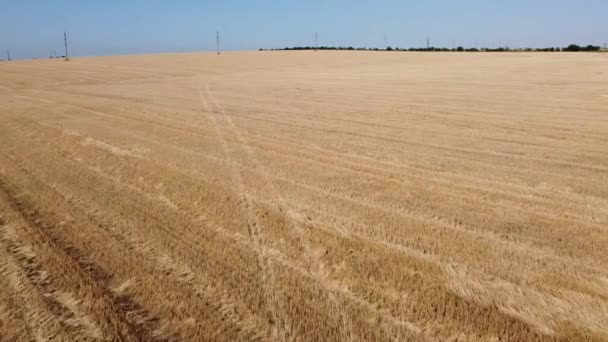 Vista Aérea Drone Voo Sobre Paisagem Agrícola Rural — Vídeo de Stock