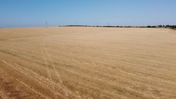 Kırsal Tarım Arazisinin Üzerinde Uçan Bir Dron Görüntüsü — Stok video