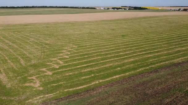 Vista Aérea Drone Voo Sobre Paisagem Agrícola Rural — Vídeo de Stock