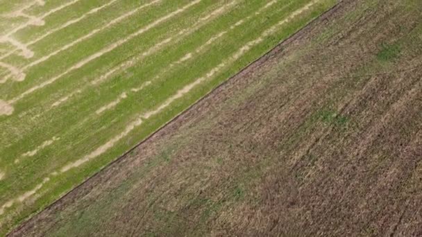 Vista Aérea Drone Voo Sobre Paisagem Agrícola Rural — Vídeo de Stock