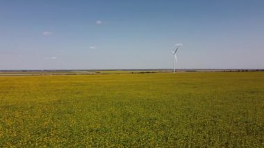 Rüzgar türbini ve tarımsal alanların üzerinde uçan bir dron görüntüsü. Ayçiçeği tarlası. Yel değirmeni. Rüzgar çiftliği.