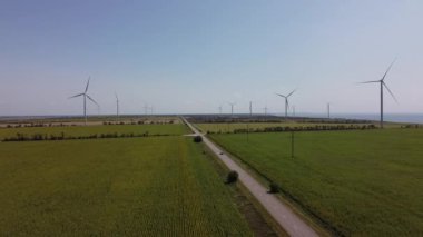 Rüzgar türbini ve tarımsal alanların üzerinde uçan bir dron görüntüsü. Ayçiçeği tarlası. Yel değirmeni. Rüzgar çiftliği. Deniz ufukta görünüyor..