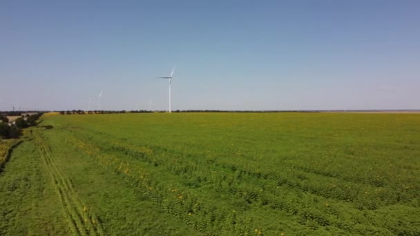 風力タービンと農業分野上の飛行の空中ドローンビュー ひまわり畑 風車だ 風力発電所 — ストック動画