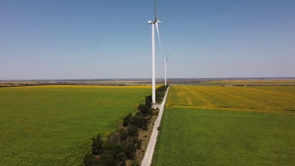 Flygdrönare Utsikt Över Flygande Över Vindkraftverk Och Jordbruksfält Solrosfält Väderkvarn — Stockvideo