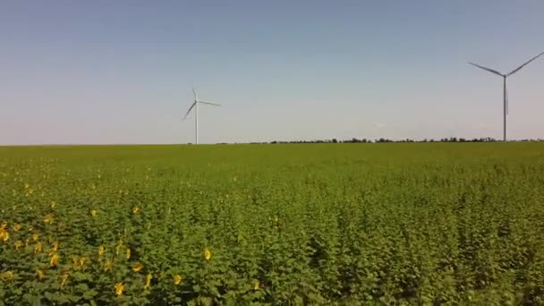 Luchtdrone Uitzicht Een Vliegende Windturbine Landbouwvelden Zonnebloemenveld Windmolen Windmolenpark — Stockvideo