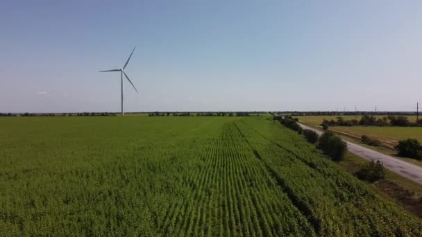 Rüzgar Türbini Tarımsal Alanların Üzerinde Uçan Bir Dron Görüntüsü Ayçiçeği — Stok video