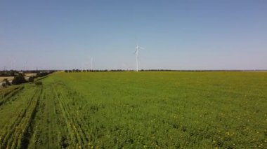Rüzgar türbini ve tarımsal alanların üzerinde uçan bir dron görüntüsü. Ayçiçeği tarlası. Yel değirmeni. Rüzgar çiftliği. 