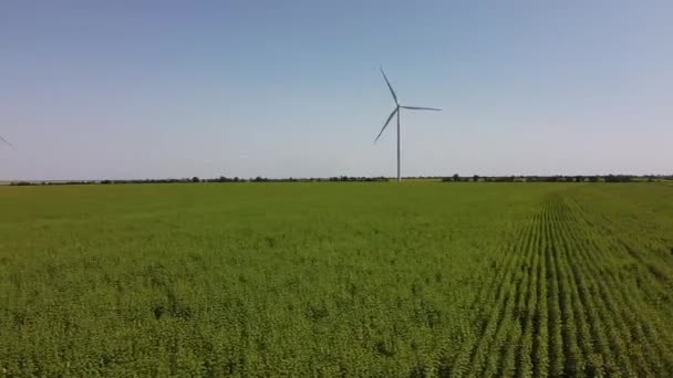 Rüzgar Türbini Tarımsal Alanların Üzerinde Uçan Bir Dron Görüntüsü Ayçiçeği — Stok video