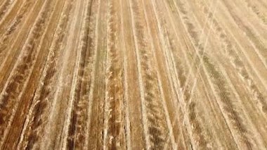 Kırsal tarım arazisinin üzerinde uçan bir dron görüntüsü.