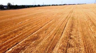 Kırsal tarım arazisinin üzerinde uçan bir dron görüntüsü.