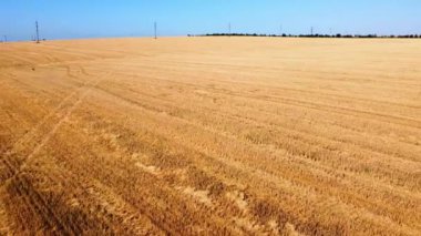 Kırsal tarım arazisinin üzerinde uçan bir dron görüntüsü.