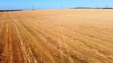 Kırsal tarım arazisinin üzerinde uçan bir dron görüntüsü.