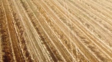 Kırsal tarım arazisinin üzerinde uçan bir dron görüntüsü.