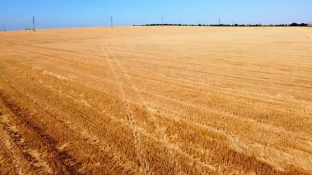 Vista Aérea Del Avión Tripulado Vuelo Sobre Paisaje Agrícola Rural — Vídeo de stock