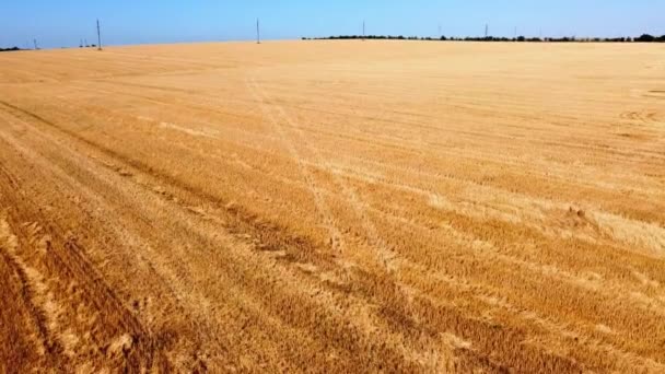 Drohnenaufnahme Eines Fluges Über Die Ländliche Agrarlandschaft — Stockvideo