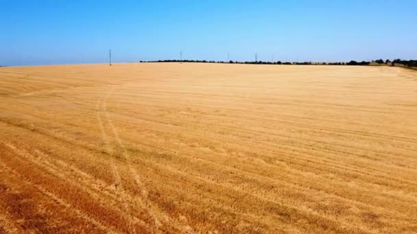 Vista Aérea Del Avión Tripulado Vuelo Sobre Paisaje Agrícola Rural — Vídeos de Stock